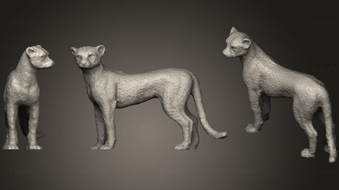 Статуэтки животных Cheetah